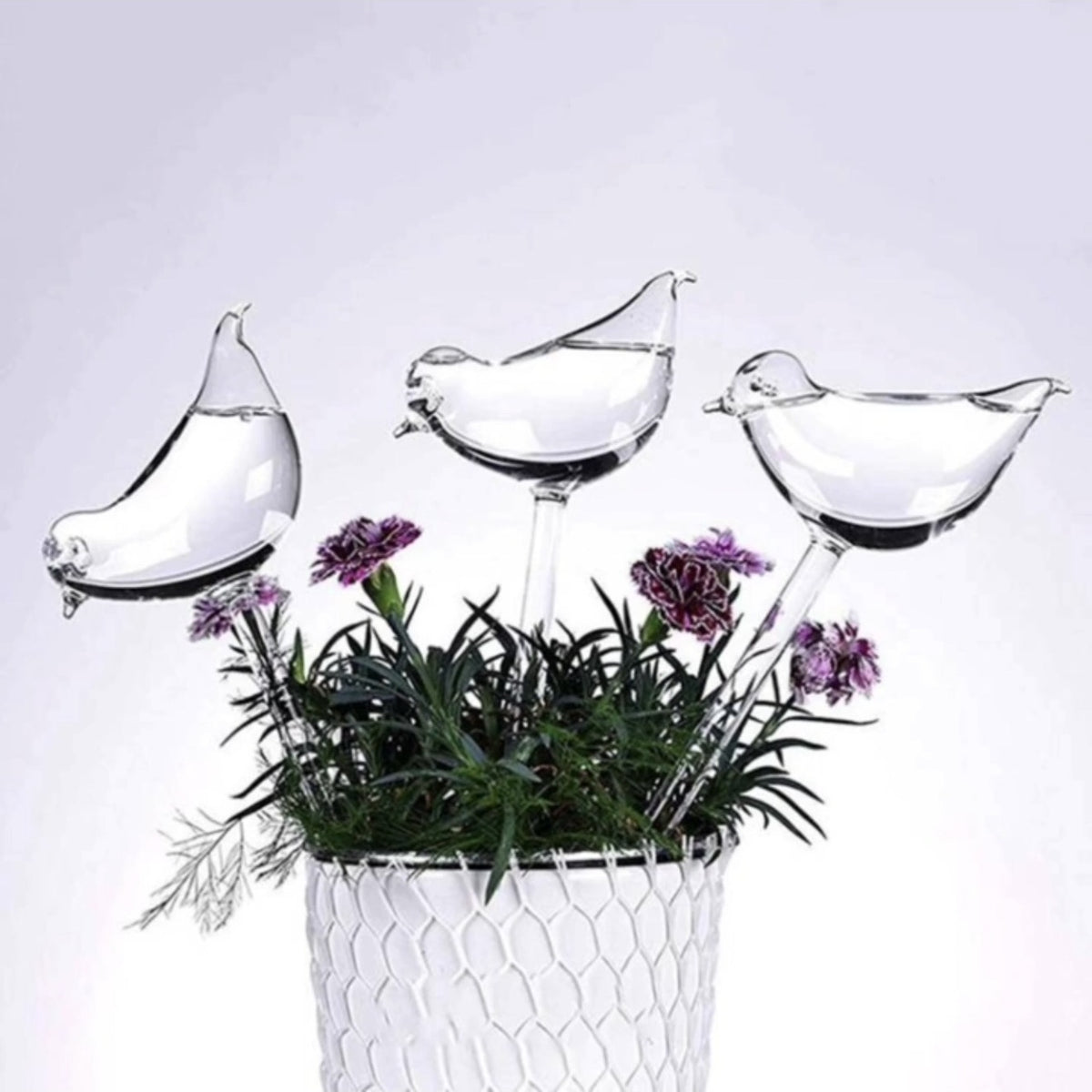 Transparent bird-shaped self-watering plant spikes in a potted plant