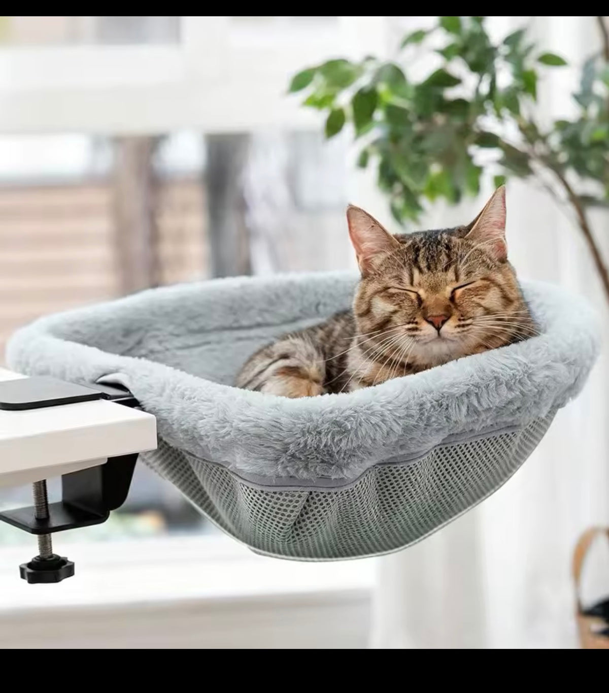 Cat relaxing in a plush grey desk-mounted bed