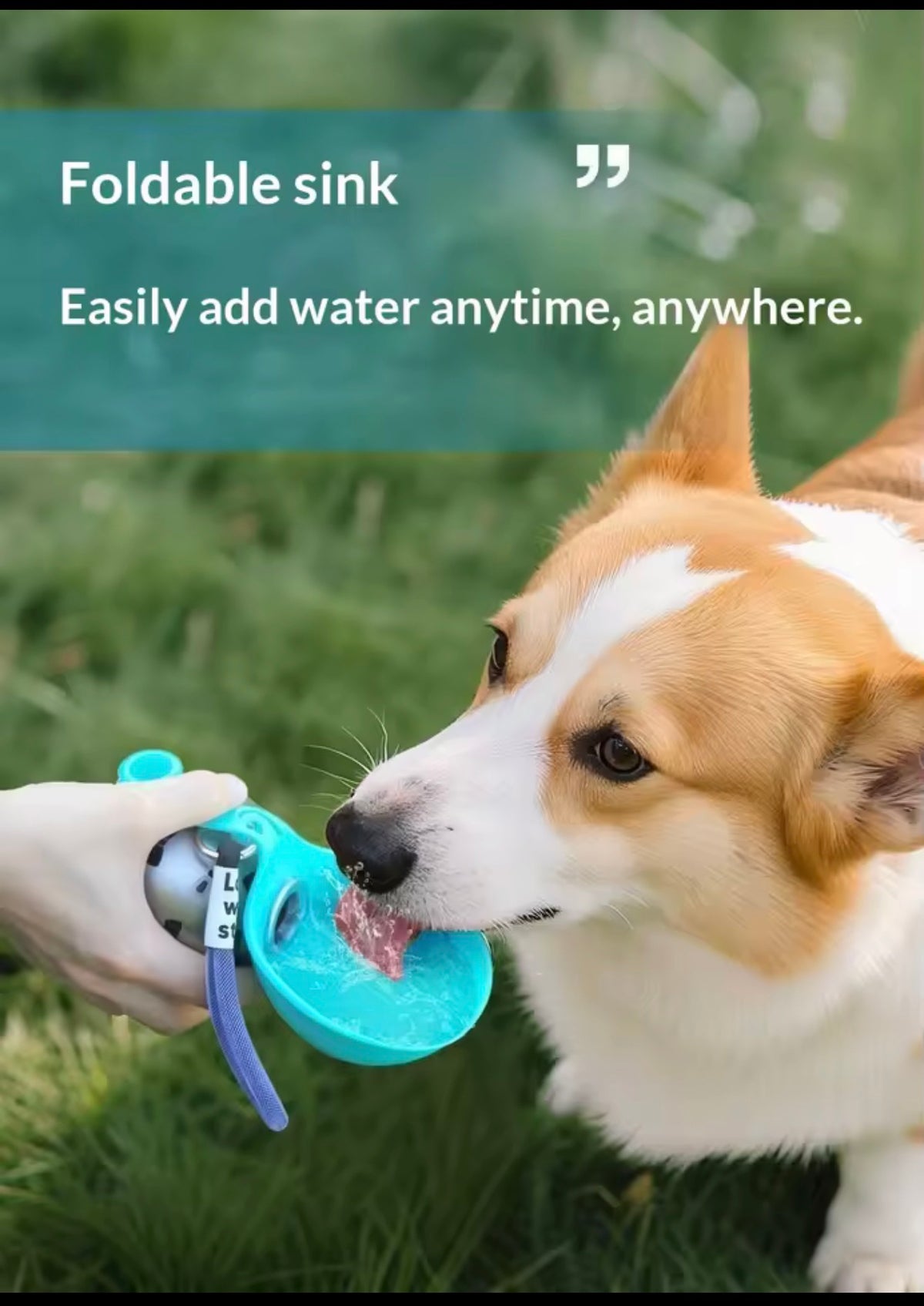 285ml portable dog water bottle with foldable drinking bowl